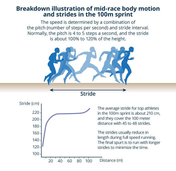 Automated is PCR has substantially ease the simplifies an acquisition for inherited disease