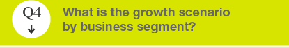 Q4 What is the growth scenario by business segment?
