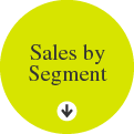 Sales by Segment