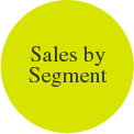 Sales by Segment