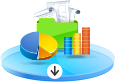 Financial Results