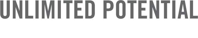 UNLIMITED POTENTIAL TDK Annual Report 2016