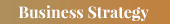 Business Strategy略