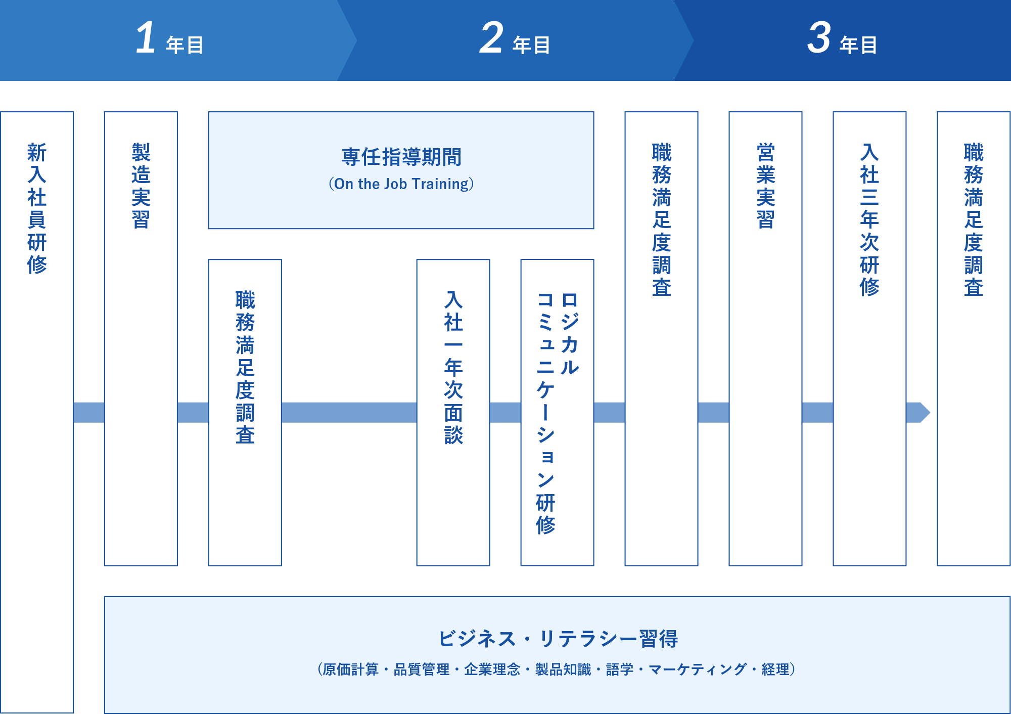 入社3年目までの育成プログラム