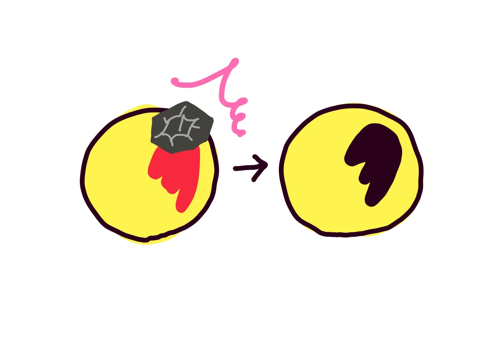 月の模様の変化