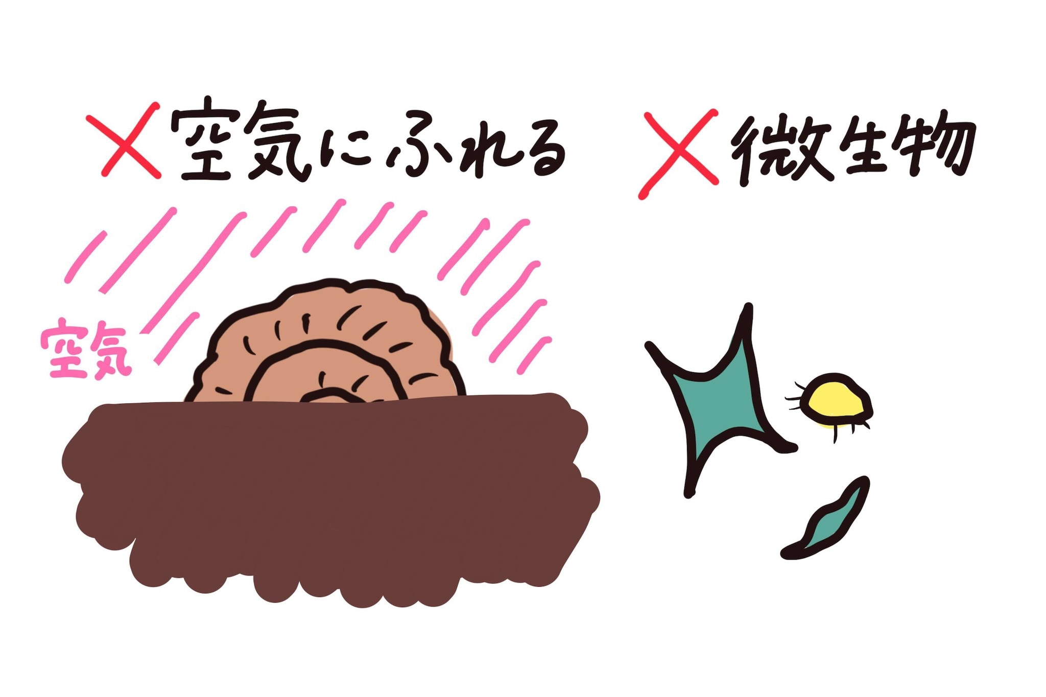 化石