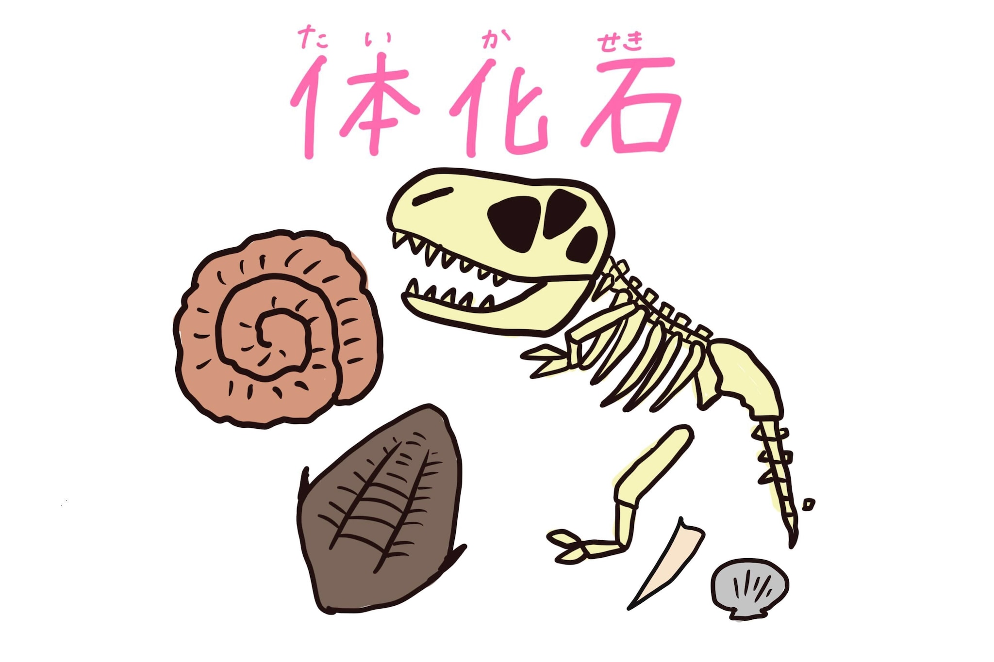 体化石