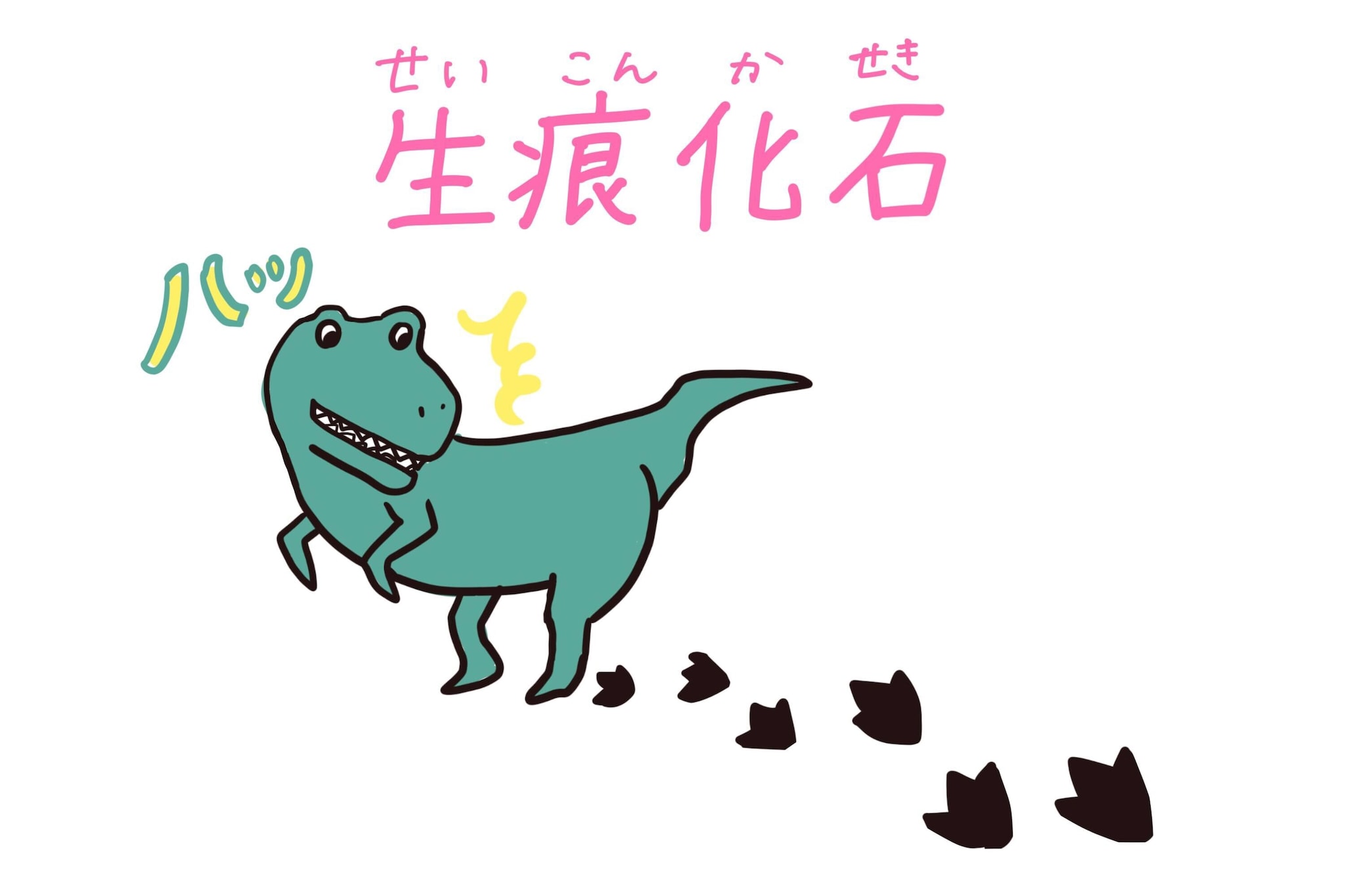 生痕化石