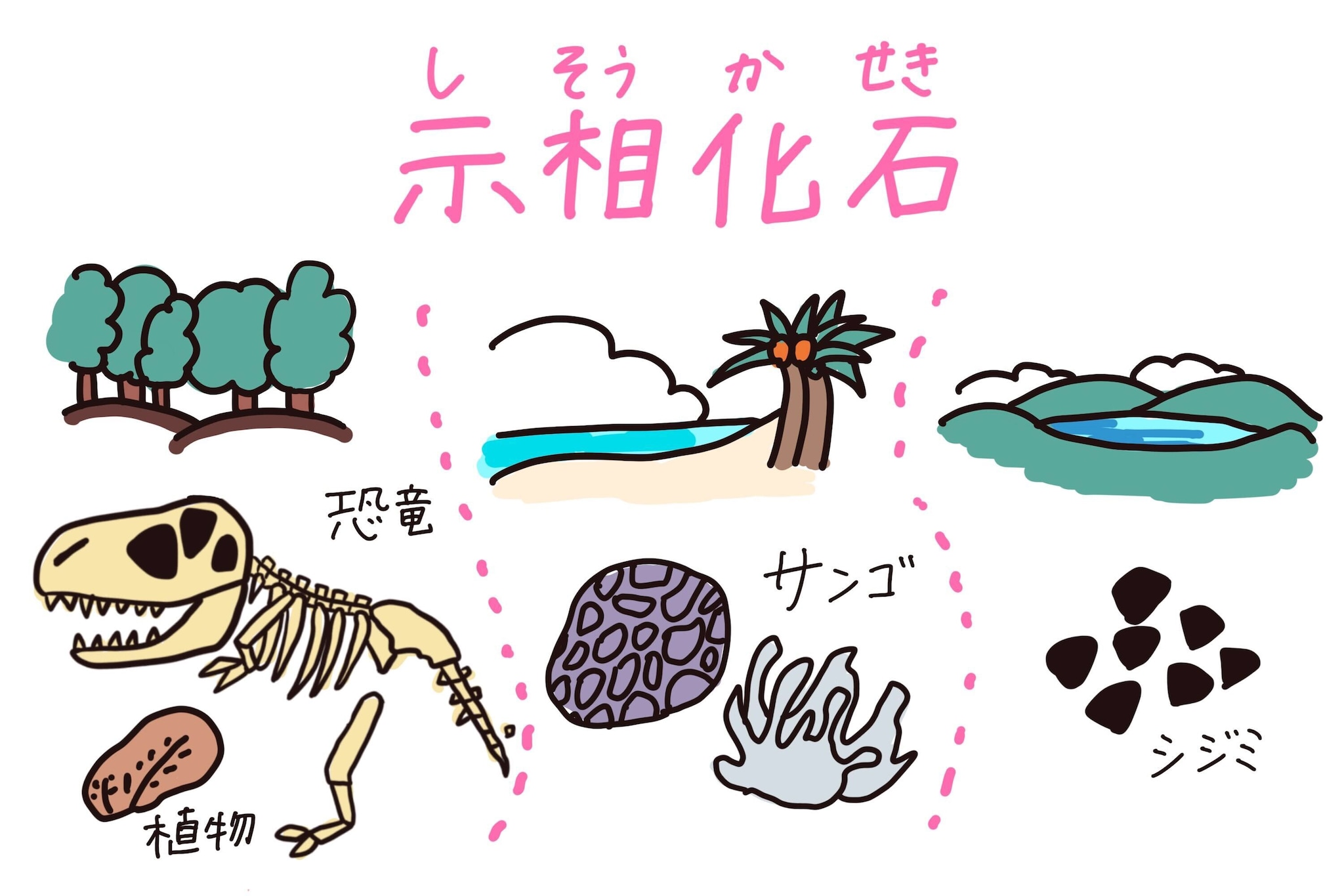 示相化石