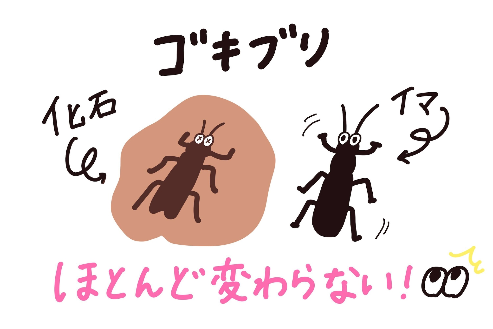 ほとんど変わらないゴキブリの化石
