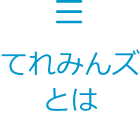 てれみんずとは