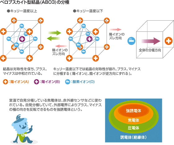 ペロブスカイト型結晶（ABO3）の分極
