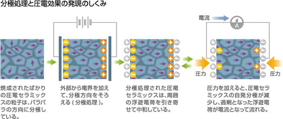 分極処理と圧電効果の発現のしくみ