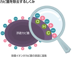 カビ菌を除去するしくみ