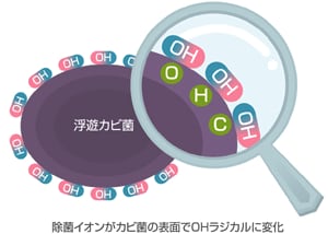 カビ菌を除去するしくみ