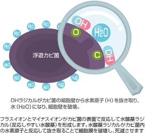 カビ菌を除去するしくみ