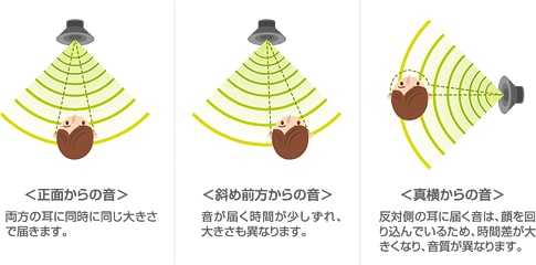 なぜ音が聞こえる方向がわかるの？