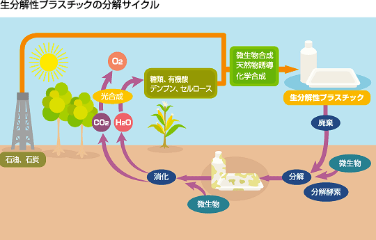 生分解性プラスチックの分解サイクル