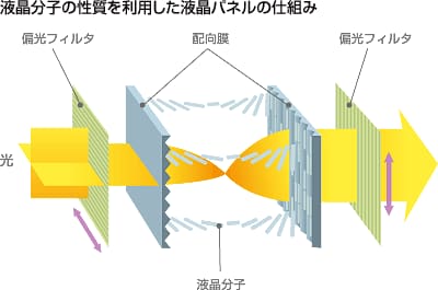 液晶分子の性質を利用した液晶パネルの仕組み