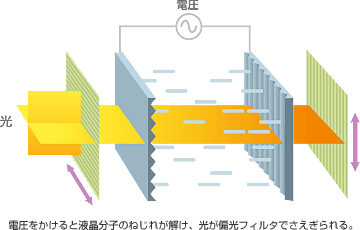 液晶分子の性質を利用した液晶パネルの仕組み