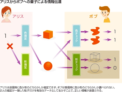 アリスからボブへの量子による情報伝達