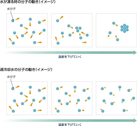 フラットヘッド方式スキャナの仕組み