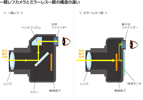 一眼レフカメラとミラーレス一眼の構造の違い