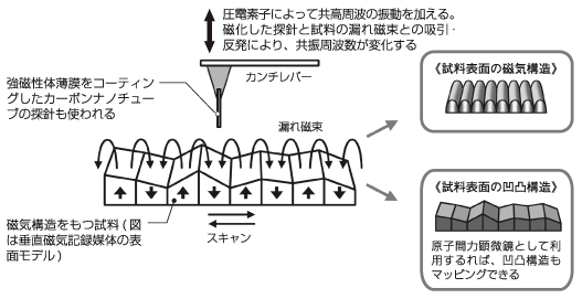 磁気力顕微鏡（MFM）の基本原理