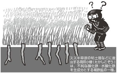 高師小僧