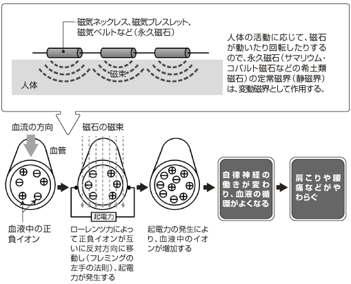 磁気治療器（永久磁石式）の効果の説明