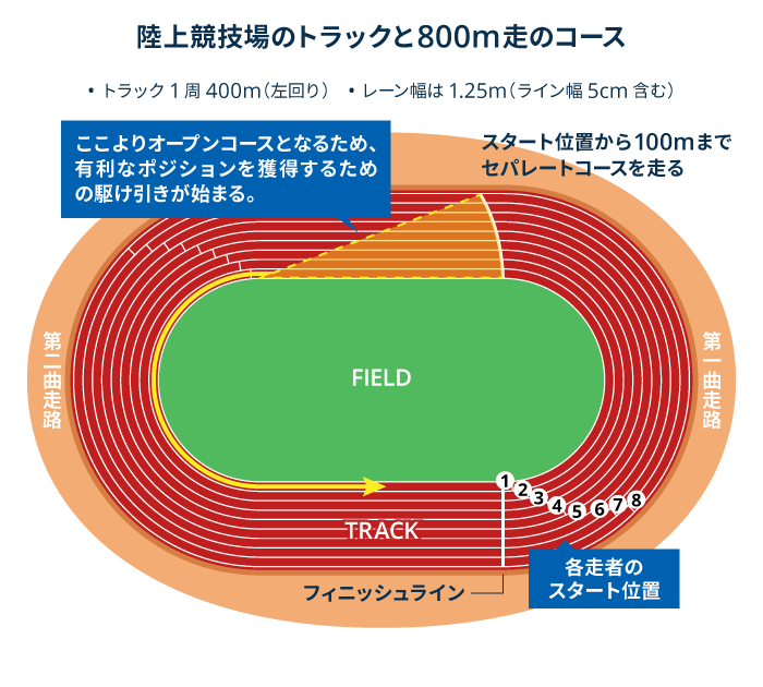 陸上競技場のトラックと800ｍ走のコース
