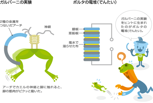 ガルバーニの実験とボルタの電堆