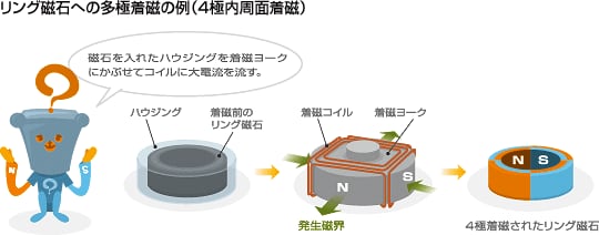 リング磁石への多極着磁の例