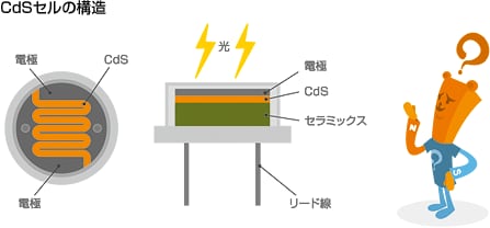 CdSセルの構造