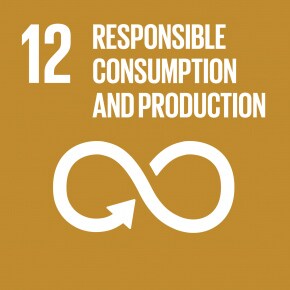 SDGs 12 Responsible consumption and production