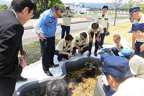 Raising of Japanese Rice Fish, an Endangered Species, at TDK Akita’s Kitakami Plant