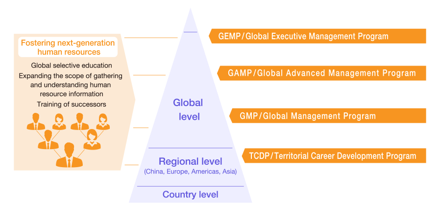 Global management development programs