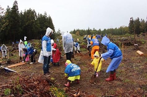 The TDK Beech Forest tree planting activity in October