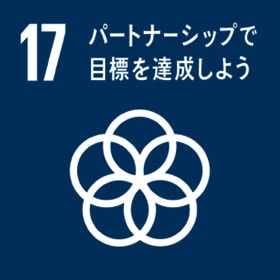 SDGs17
