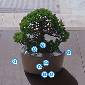BonsAI