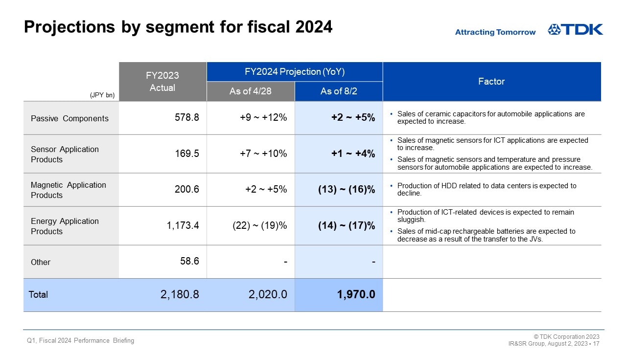 Projections by segment for fiscal 2024
