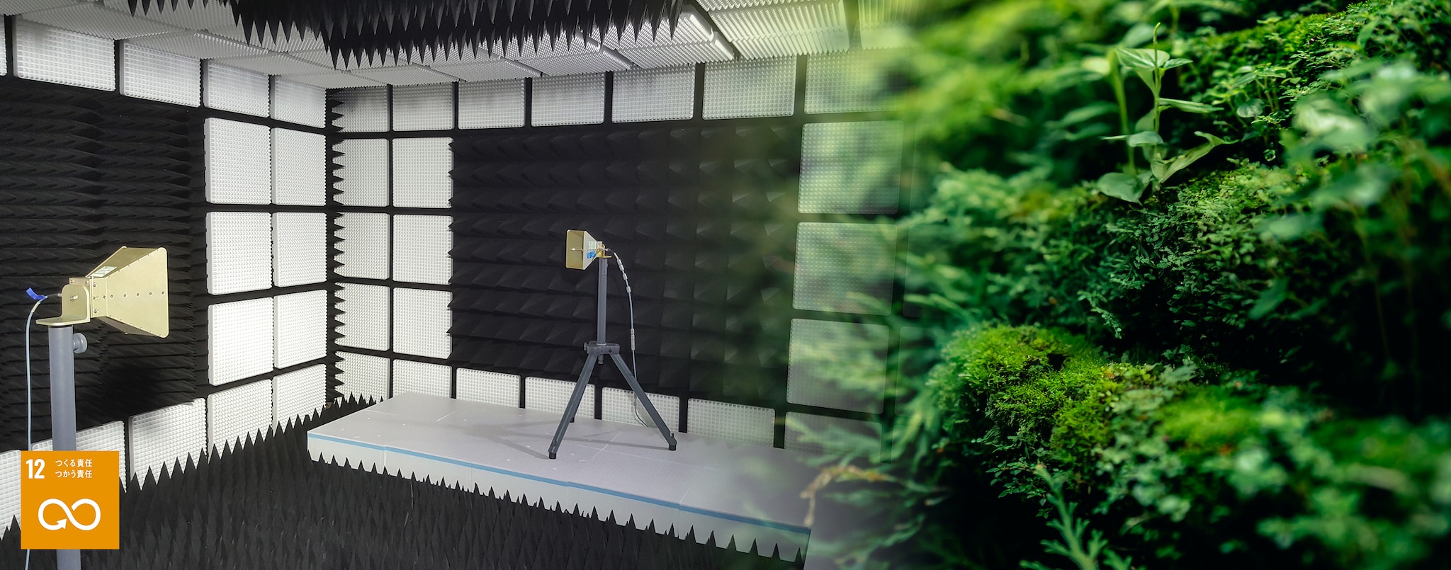 電波暗室エコイメージ
