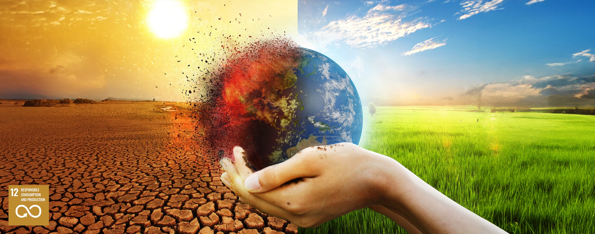 effects of climate change