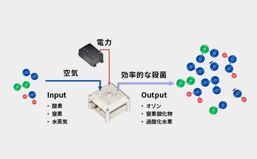 MediPlasの仕組み