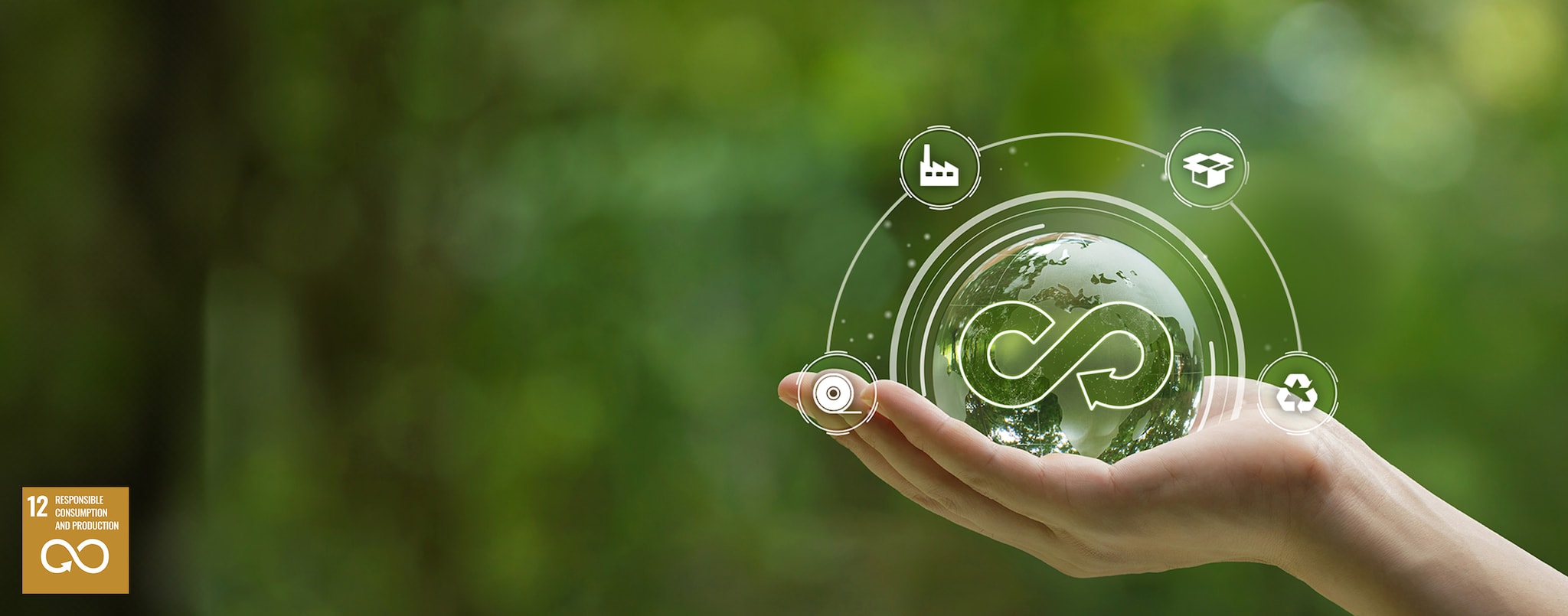 Circular Economy