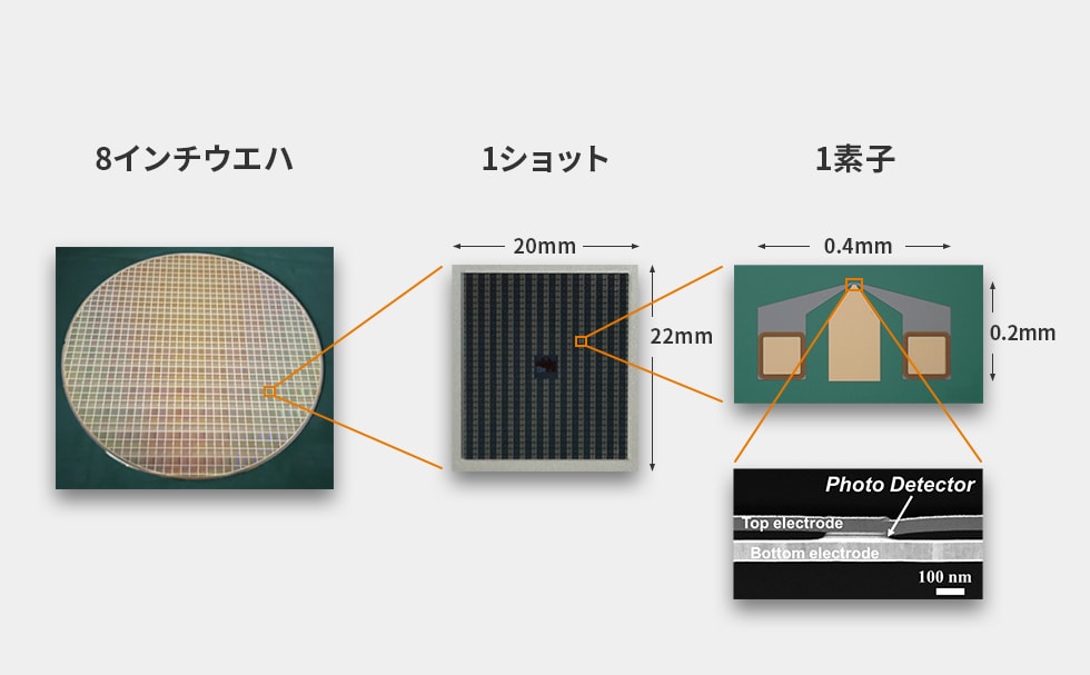 スピンフォトディテクタ