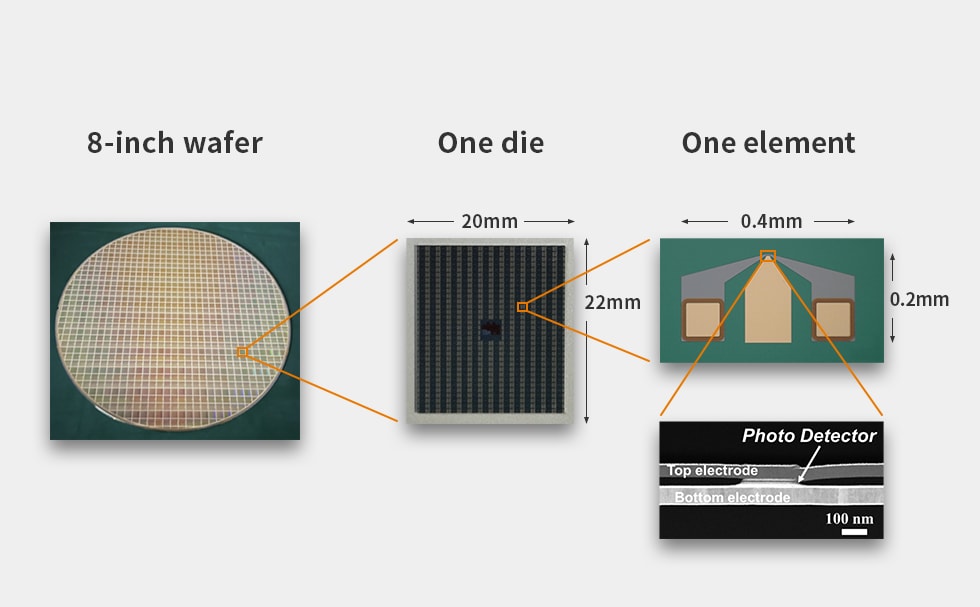 spin_photo_detector