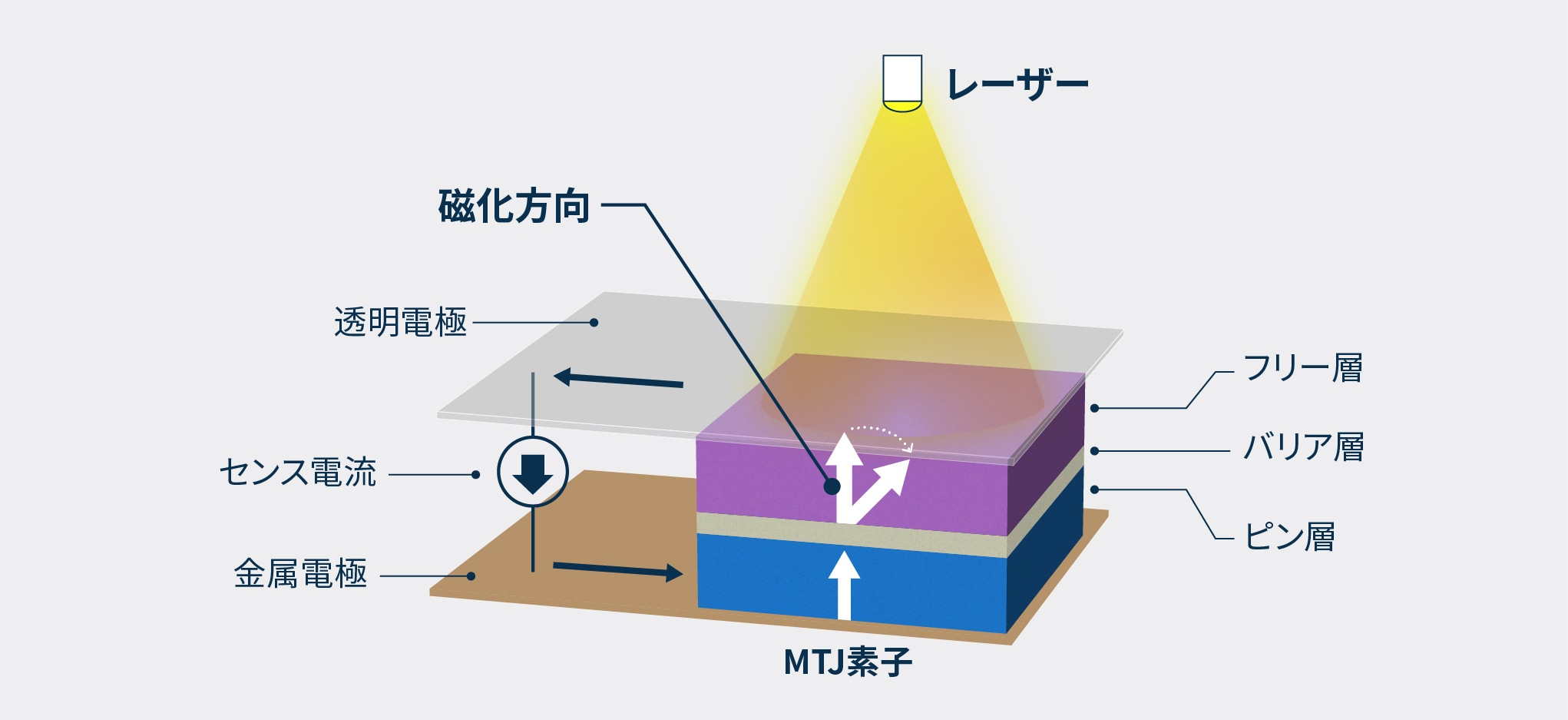 スピンフォトディテクタの構造