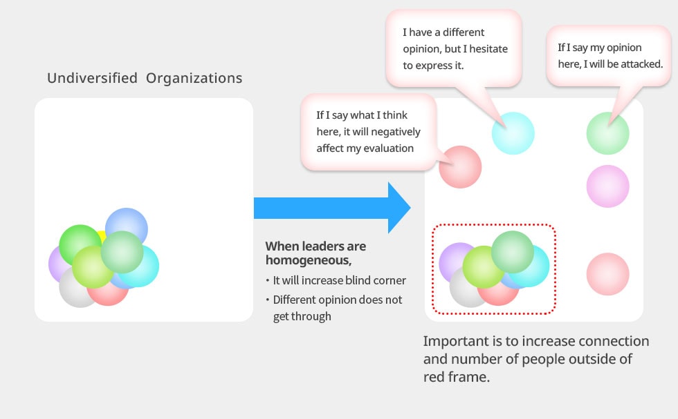 Problems with Undiversified Organizations