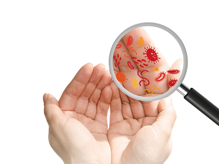 Viruses and bacteria causing infection
